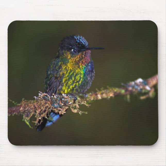 Mousepad Colibri (Frente)