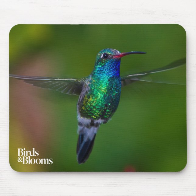 Mousepad Colibri de flutuação (Frente)