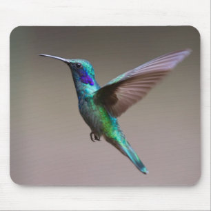Mousepad Colibri em vôo