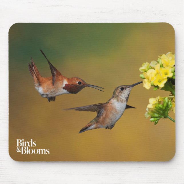 Mousepad Colibri Rufous de flutuação (Frente)