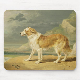 Mousepad Collie Áspero-revestido, 1809 (óleo a bordo)