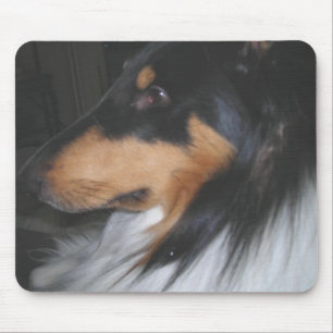 Mousepad Collie da Tri cor no pensamento profundo
