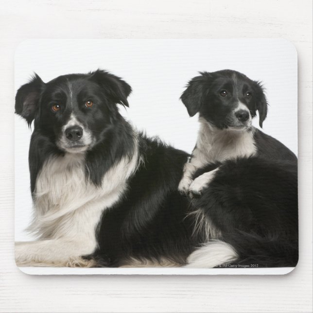 Mousepad Collie e filhote da fronteira mãe (Frente)