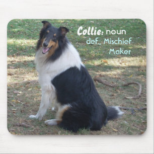 Mousepad Collie: Fabricante do prejuízo