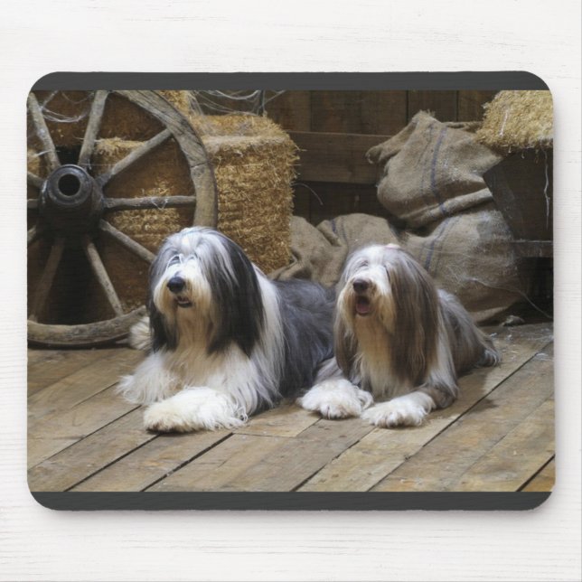 Mousepad Collie farpado (Frente)