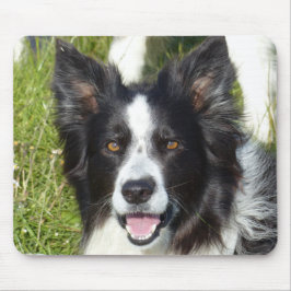 Mousepad Collie Preto e Branco