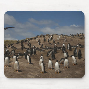 Mousepad colônia de Pinguim Gentoo (Pygoscelis papua) no Oe