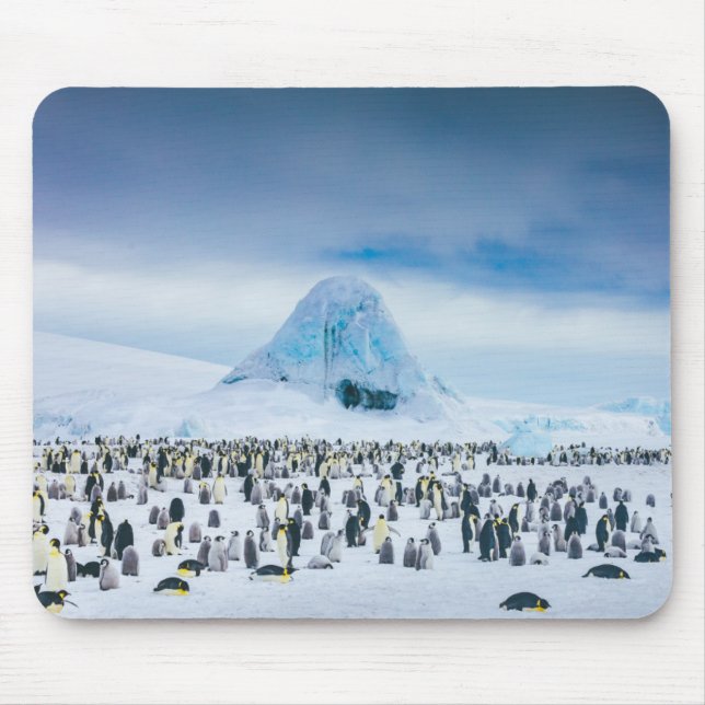 Mousepad Colônia do pinguim de imperador (Frente)