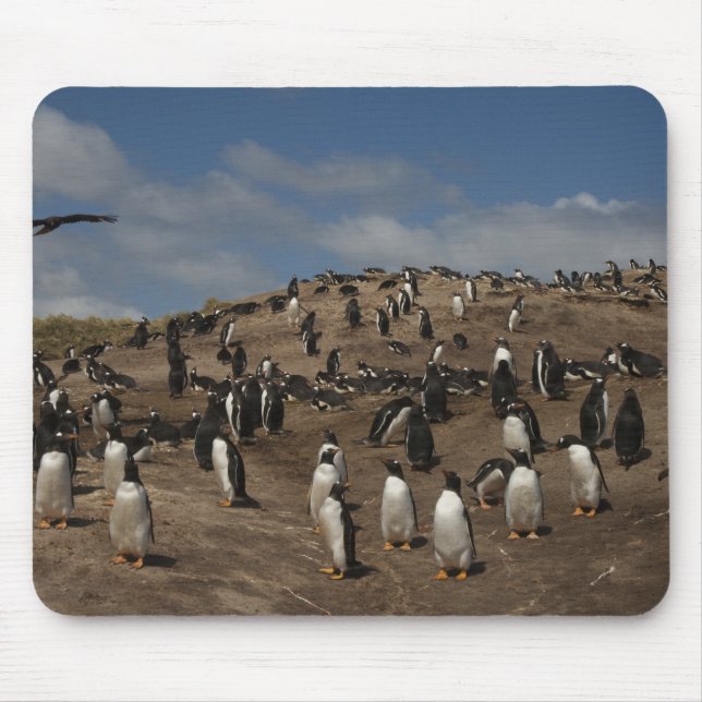 Mousepad Colônia Gentoo Penguin (Pygoscelis papua) no Oeste (Frente)