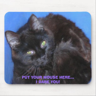 MOUSEPAD COLOQUE O SEU RATO AQUI... OUSO-TE! GATO DE CHOCOL