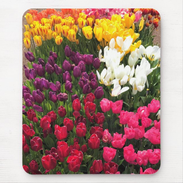 Mousepad Colorida Tulip Garden Bed, Oregon (Frente)