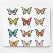 Colorido Rato de Borboleta para Casa e Escritório