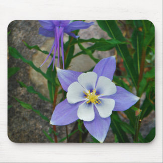 Mousepad Columbina azul