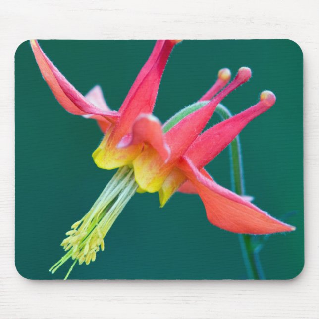 Mousepad Columbina Vermelha (Frente)