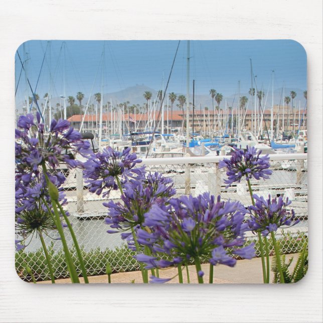 Mousepad com as flores azuis do Agapanthus (Frente)