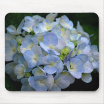 Mousepad com as flores azuis do hydrangea