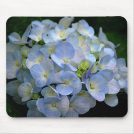 Mousepad com as flores azuis do hydrangea