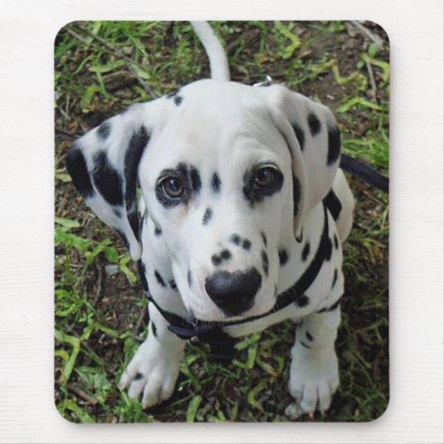 Mousepad com Cachorro Filhote Dálmata (Frente)