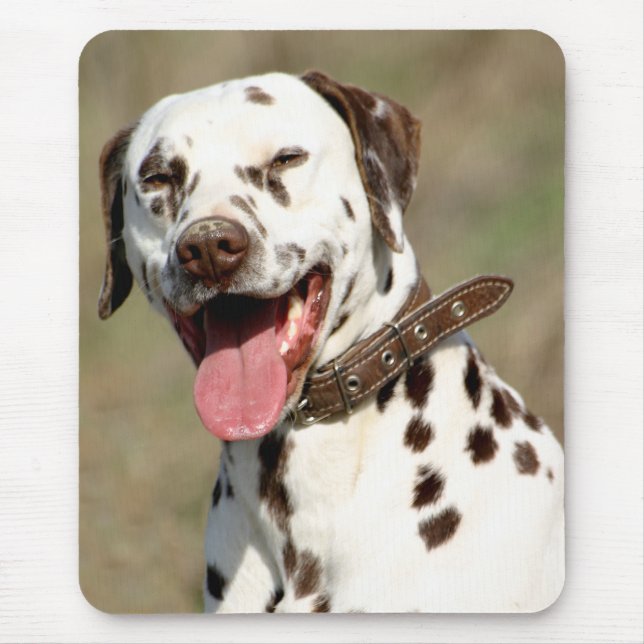 Mousepad com Cachorro Filhote Dálmata (Frente)