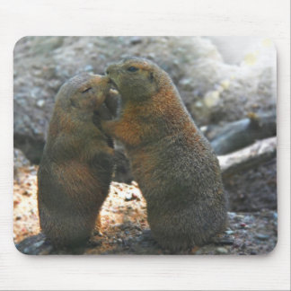 Mousepad com casal bonito da marmota
