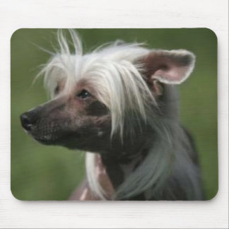 Mousepad com crista chinês