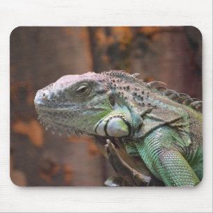 Mousepad com lagarto de Iguana colorido