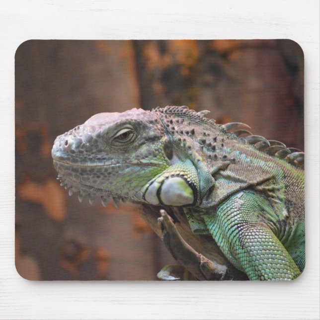 Mousepad com lagarto de Iguana colorido (Frente)