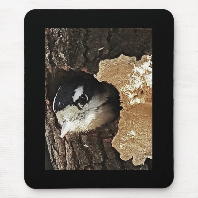 Mousepad com pica-pau Downy - vista vertical (Frente)