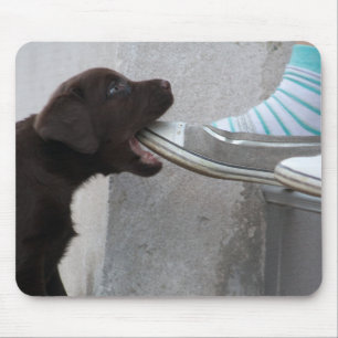 Mousepad Coma Meu Calçado! Labrador