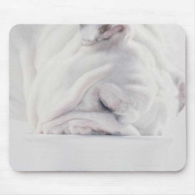 Mousepad Comendo Buldogue (Frente)