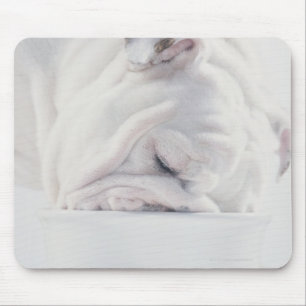 Mousepad Comer do buldogue