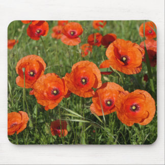 Mousepad Common Poppies