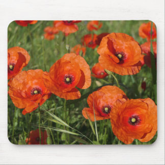 Mousepad Common Poppies