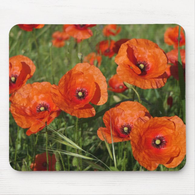 Mousepad Common Poppies  (Frente)