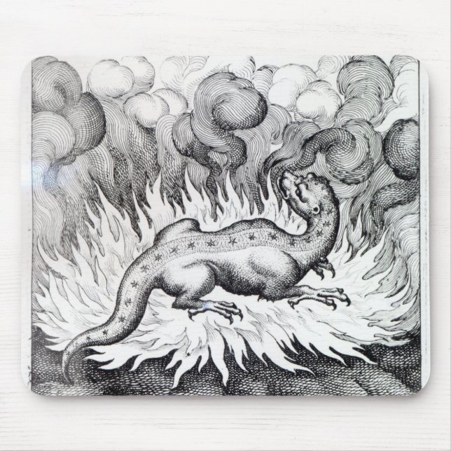 Mousepad Como as vidas da salamandra no fogo (Frente)