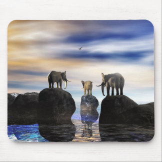 Mousepad como obteve lá, fred?