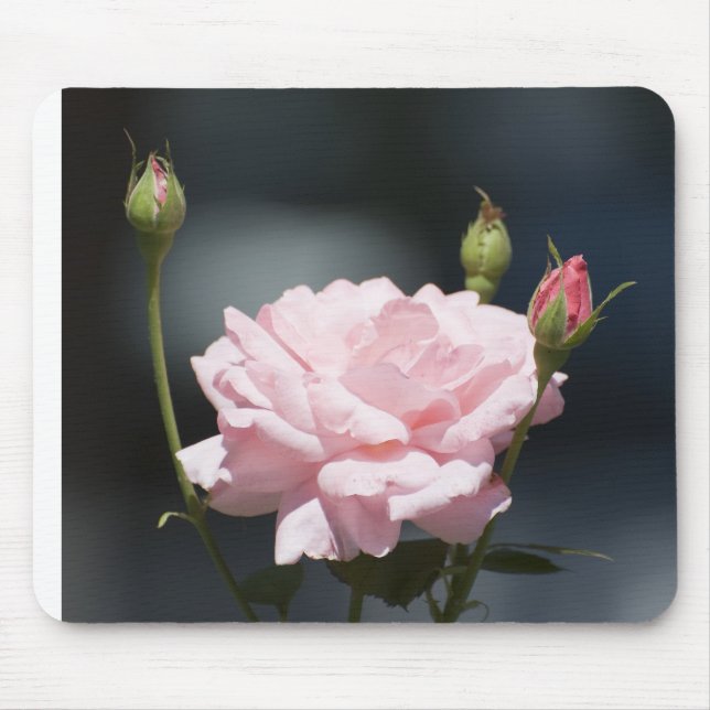 Mousepad como uma rosa (Frente)