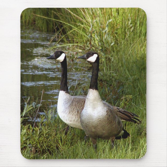 Mousepad Companheiros para a vida (Frente)