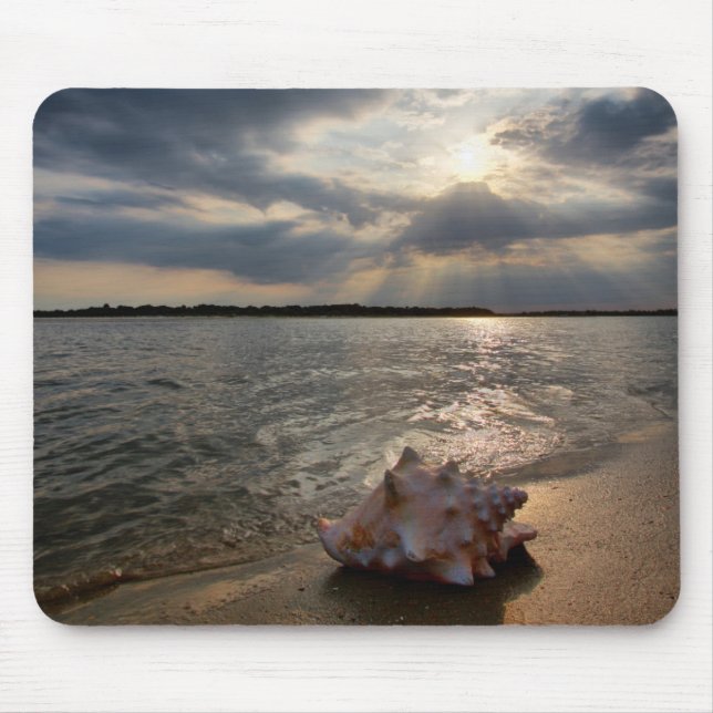 Mousepad Conch Shell na praia | St Augustine, Fl (Frente)