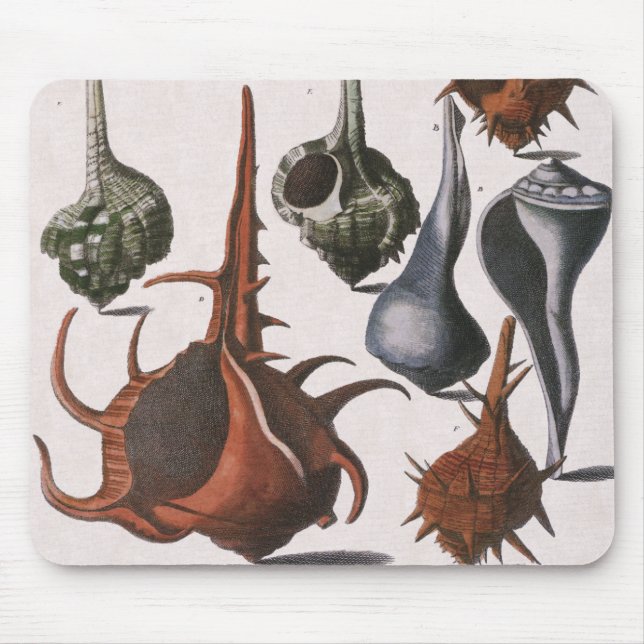 Mousepad Conchas, Conchas Marinhas Antigas, Vida Marinha do (Frente)