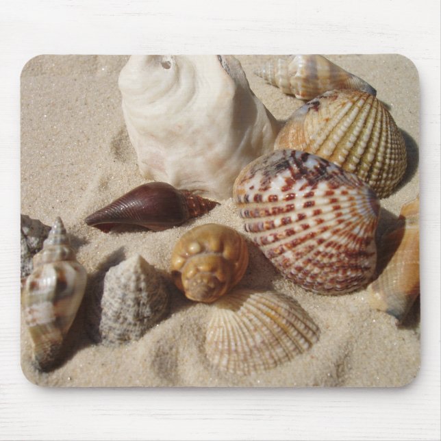 Mousepad Conchas marítimas, conchas marítimas (Frente)