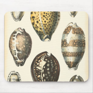 Mousepad Conchas Selvagens Exclusivamente Formatadas