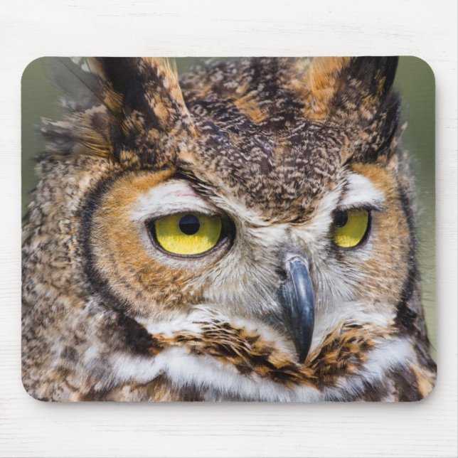 Mousepad Condado de Kendall, Texas. Coruja-grande (Frente)