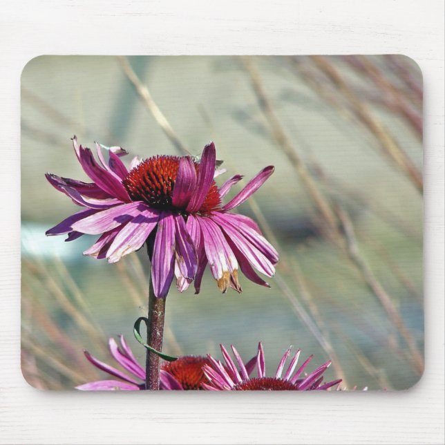Mousepad Coneflower (Frente)