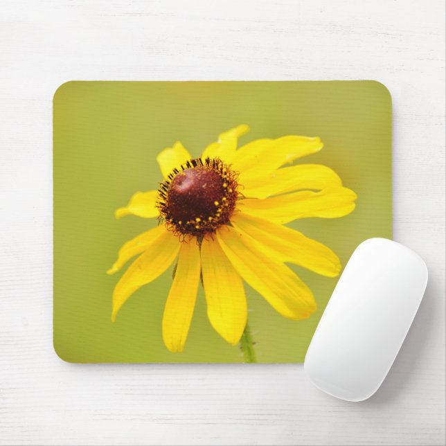 Mousepad ConEFlower Amarelo bonito do Texas Wildflower (Com mouse)