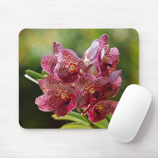 Mousepad Conjunto tropical da orquídea de Vanda (Com mouse)