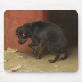 Mousepad Consciência Faz Borricas De Todos Nós