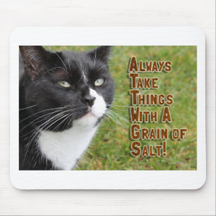 Mousepad Conselho épico de um gato