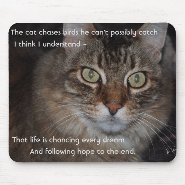 Mousepad Continue Perseguindo seus Sonhos - Gato (Frente)