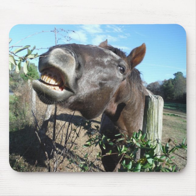 Mousepad Conversando Cavalo Marrom (Frente)